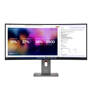 LENOVO ThinkVision P40WD-40 100,84cm TS