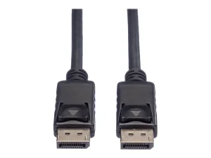 ROLINE DisplayPort Kabel DP schwarz 1m